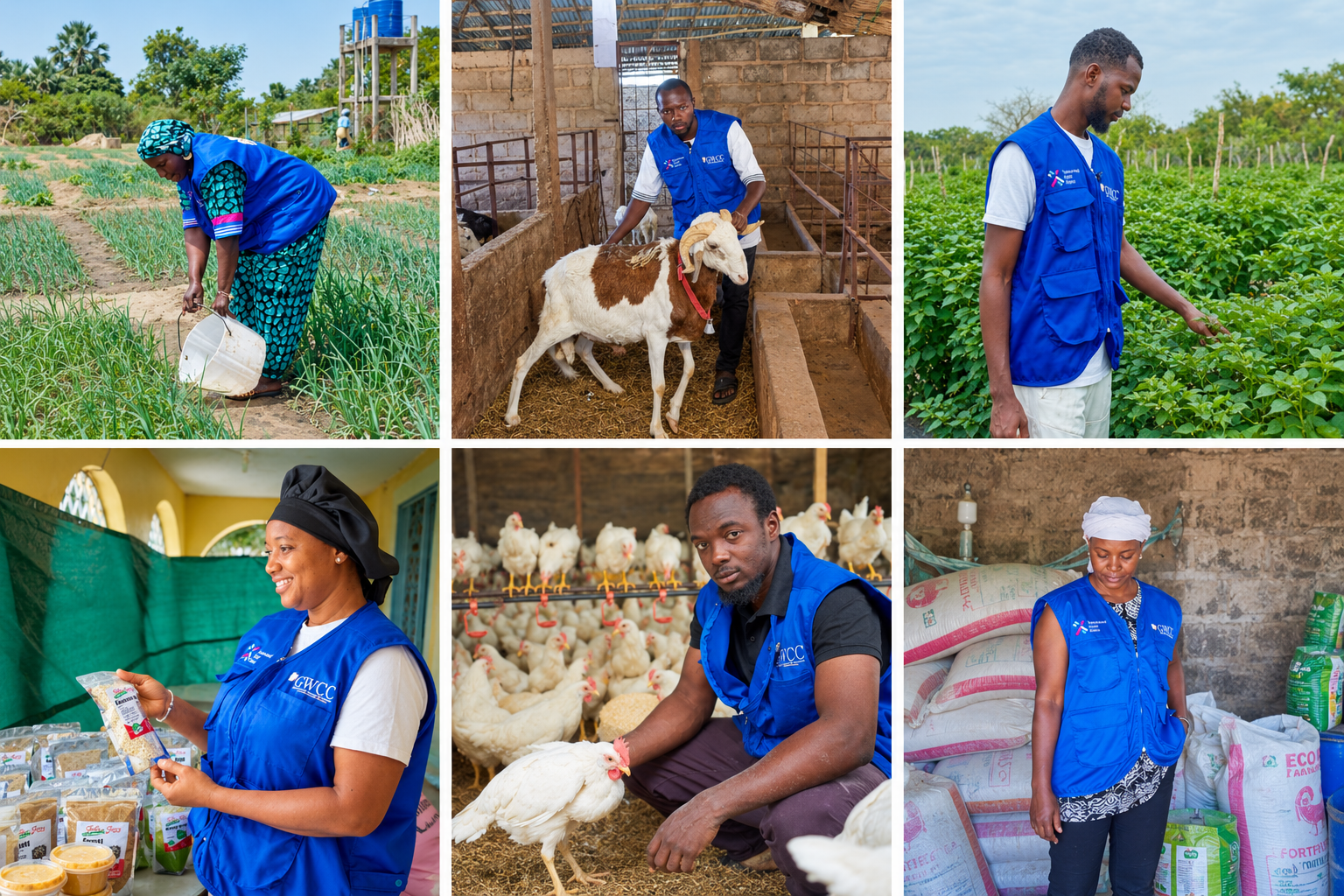 Empowering Communities for Resilient Food Systems in Foni